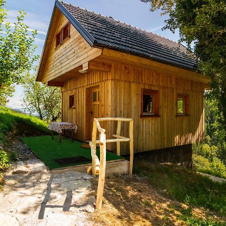 Wooden Chalet - Homestead Vrhovc ゴレンスカ地方 エクステリア 写真