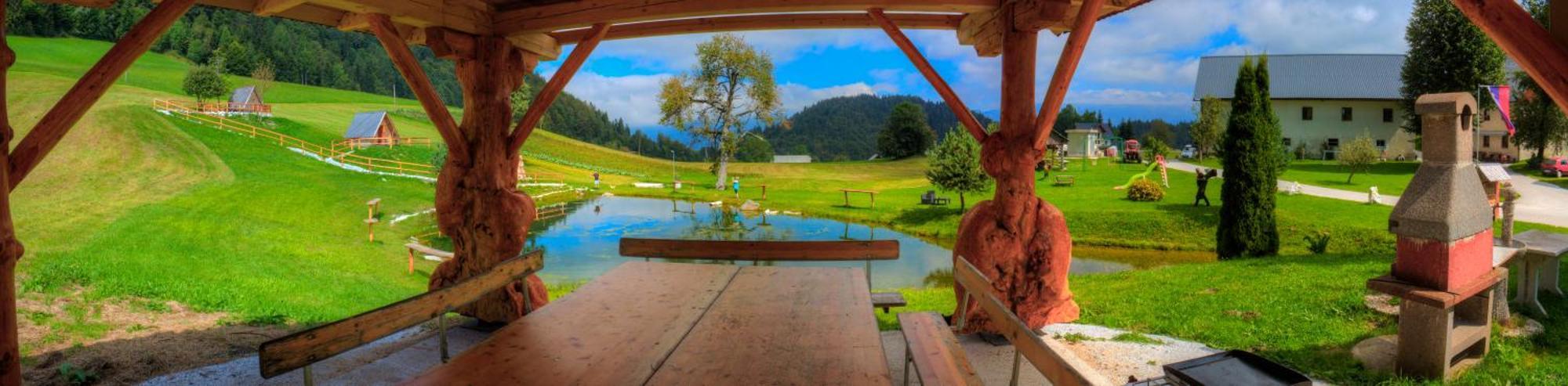 Wooden Chalet - Homestead Vrhovc ゴレンスカ地方 エクステリア 写真