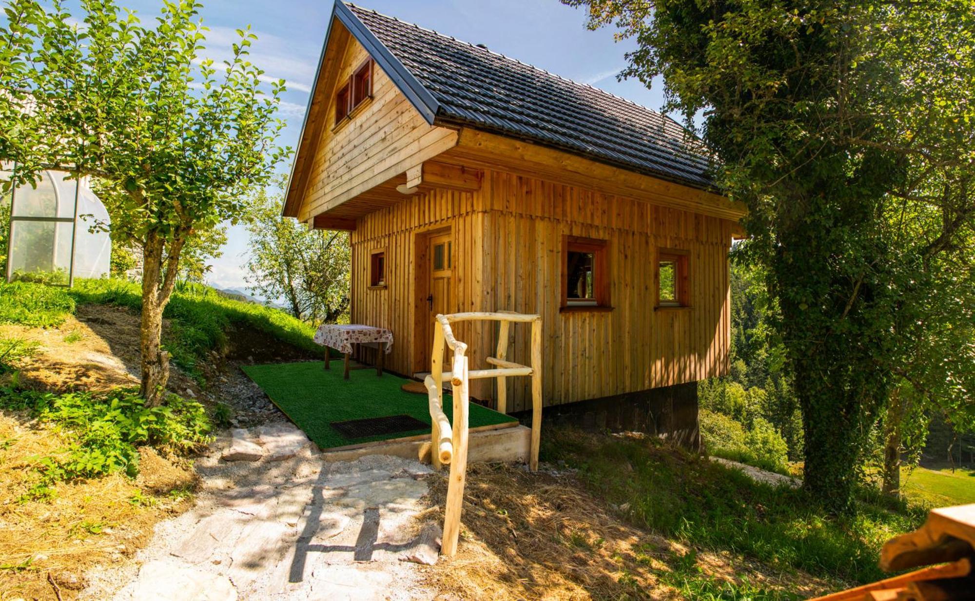 Wooden Chalet - Homestead Vrhovc ゴレンスカ地方 エクステリア 写真
